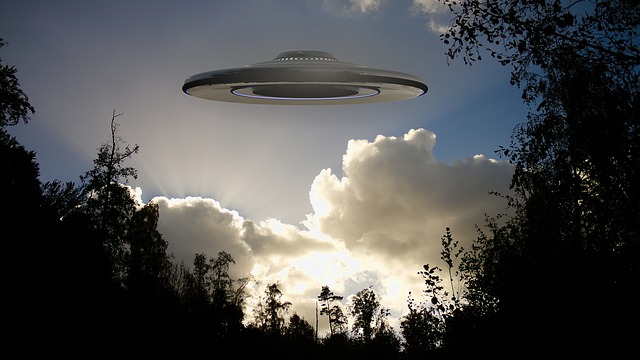 UFO in the sky (forest)